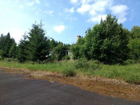 Foto 339